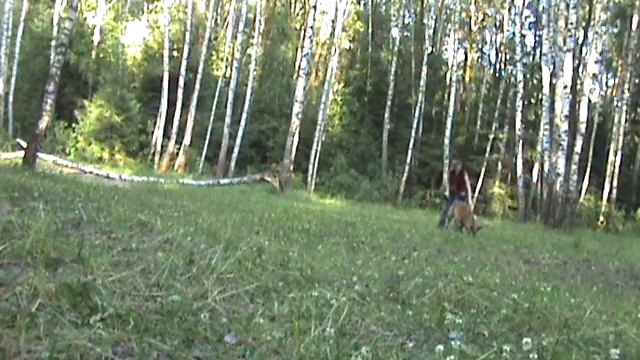 стич тренировка 28-06-2010(2часть).wmv смотреть онлайн