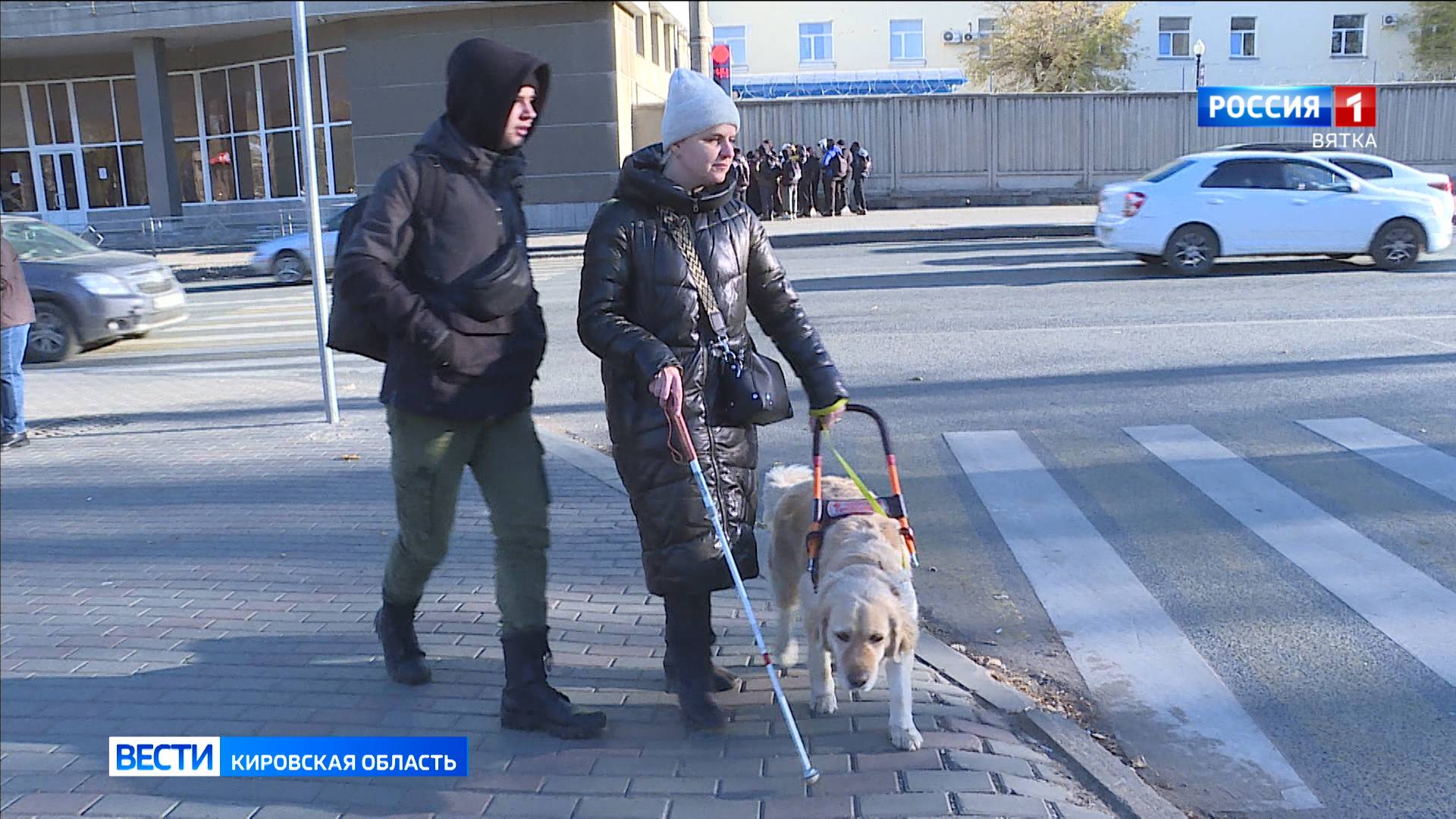 Международный день белой трости: как живут слепые и слабовидящие люди смотреть онлайн