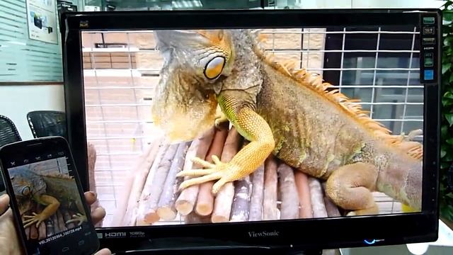 DLNA AV Box - Video Streaming смотреть онлайн