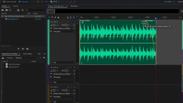 Montage sonore simple avec Adobe Audition смотреть онлайн