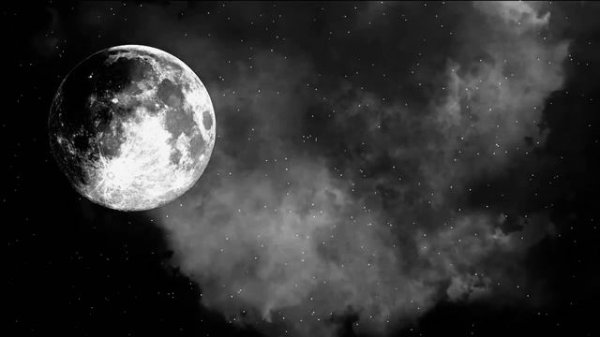 10 TRUE SCARY STORIES [Compilation VOL.12]