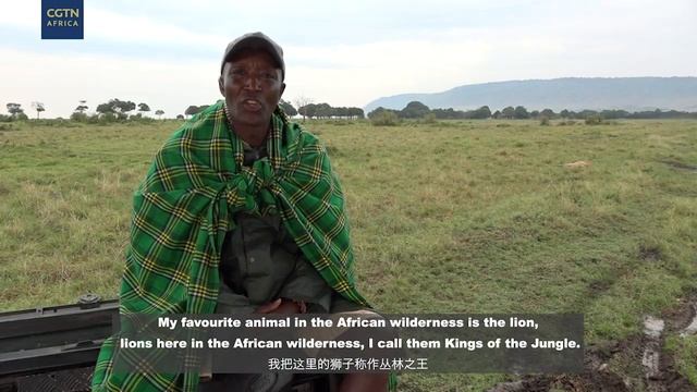 Digital Safari: Q&A with guide David Githu смотреть онлайн