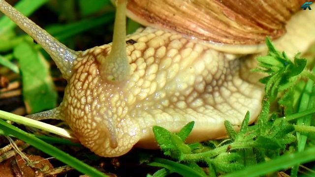 Sony RX10 смотреть онлайн