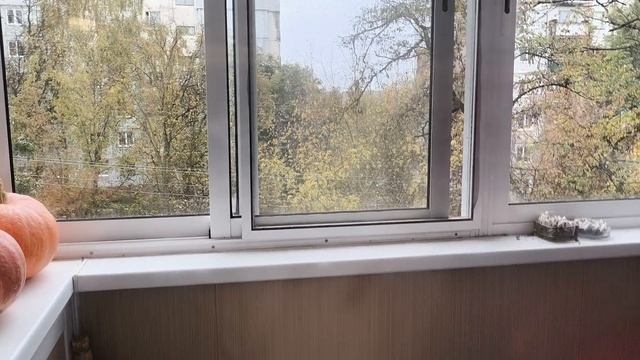 что басик делает один дома и что делал когда был маленький смотреть онлайн