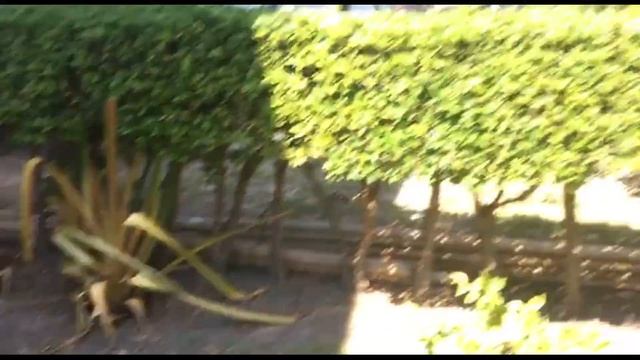 Параллельные вселенные смотреть онлайн