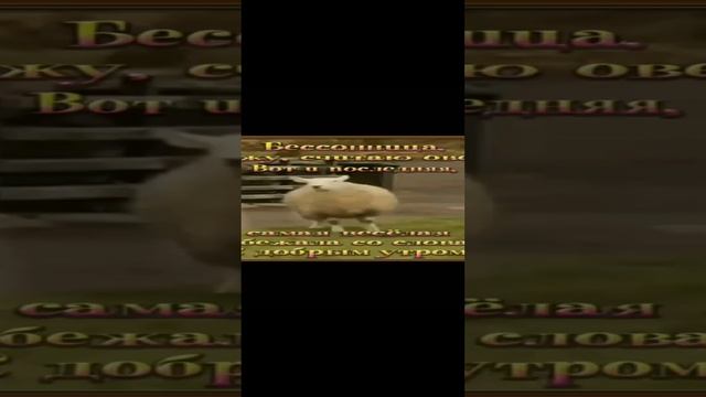 #Всем удачи💕💯😍 смотреть онлайн