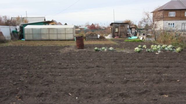 50317822 смотреть онлайн