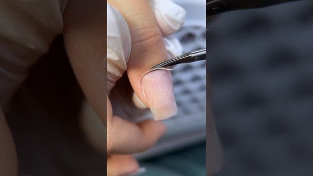 Срез кутикулы