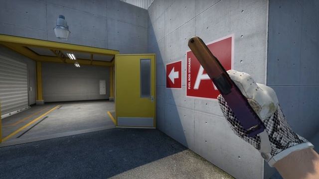 Driver Gloves | King Snake (Field-Tested)