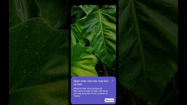Android 10 Crazy Error