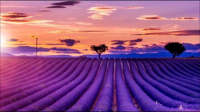 Otis Taylor Resurrection Blues смотреть онлайн