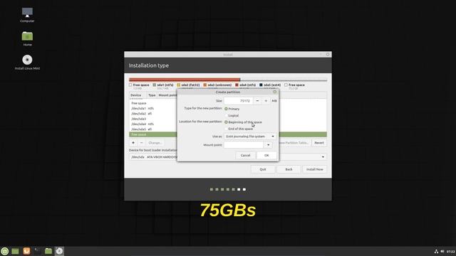 Dual Boot Linux Mint 19.3 With Windows 10 UEFI смотреть онлайн