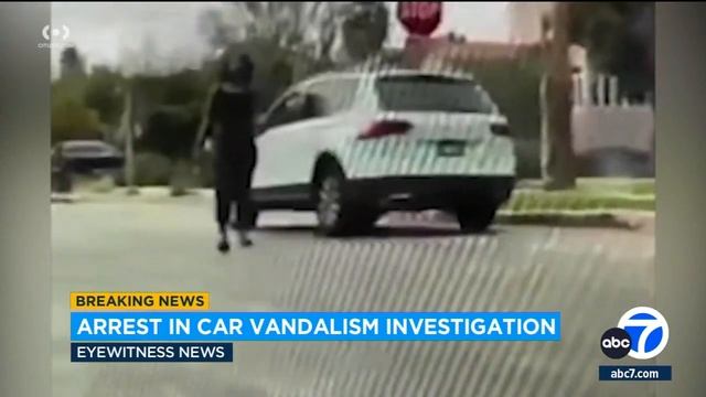 LAPD identifies woman accused of smashing car windshields throughout LA County following arrest смотреть онлайн