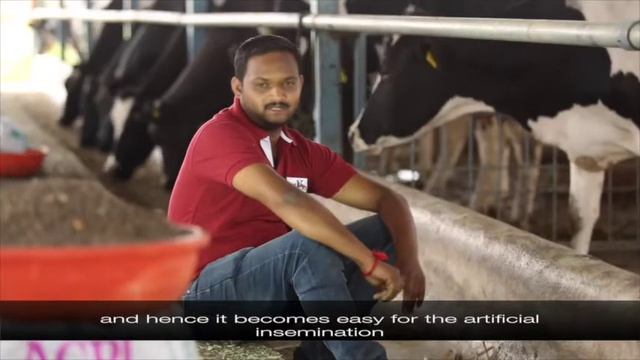 SmartMoo™ SmartFarms™: Farm Management смотреть онлайн