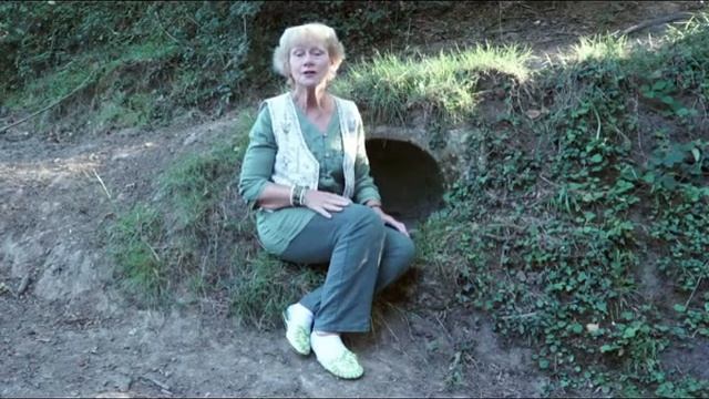 Animal Folk Tales with Sharon Jacksties смотреть онлайн