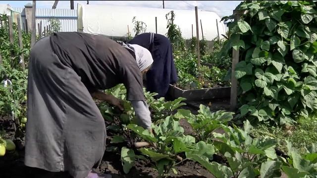 Вознесенский женский монастырь. Кочергино. Часть 2. Трудники. Программа "Светлый день" 31 08 21 смотреть онлайн