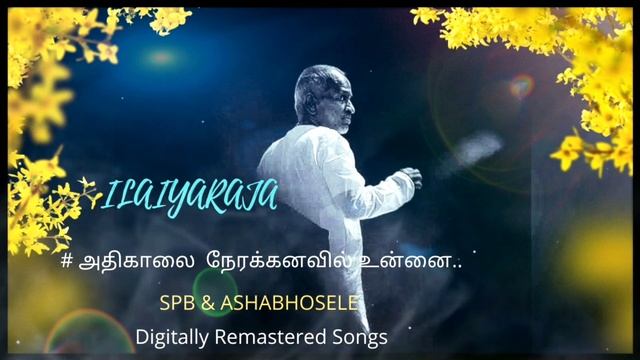 ILAIYARAJA HITS/SPB/ASHABHOSELE/ATHIKALAI NEERA KANAVIL смотреть онлайн