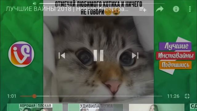 Нарезка «Позови кота с собой» самое милое видео.Срочный выпуск!! смотреть онлайн