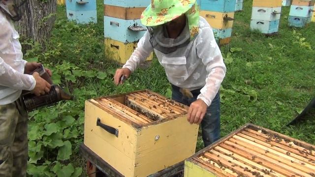 500 + Ставим четвертые корпуса. смотреть онлайн