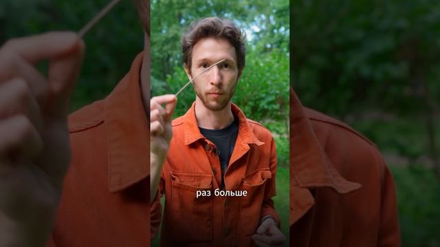 Развеиваем миф о царапинах на объективе #photogear #фотоаппарат #фотограф #photographer смотреть онлайн