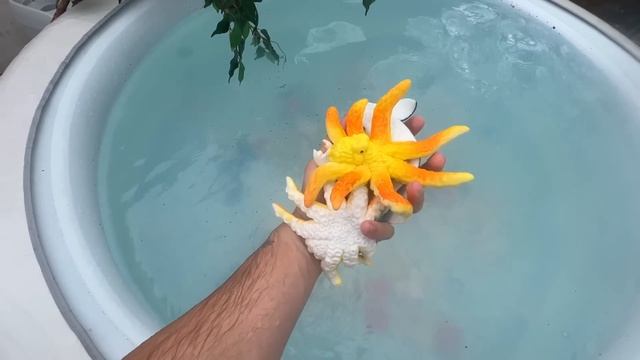 Growing 100 Expanding Sea Creatures in my Hot Tub смотреть онлайн