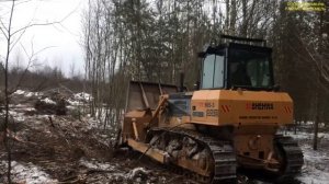 ВЫКОРЧЕВКА  ДЕРЕВЬЕВ НОВЫМ КИТАЙСКИМ БУЛЬДОЗЕРОМ 2019г.в. SHEHWA TY165-3, РАСЧИСТКА ЛЭП,ПОЛЕЙ,ДОРОГ.
