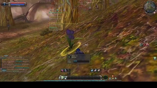 Aion Empire 2.5 Страж