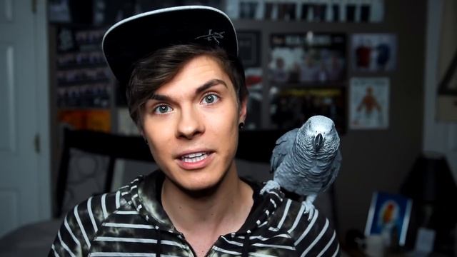 7 Things In Your Home That Can Kill Your Bird! (MUST WATCH) смотреть онлайн