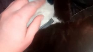 лебедка на колесо своими рками!