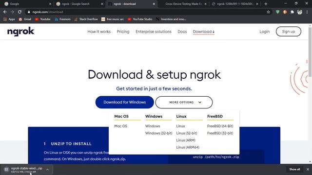 NGROK | Access Your localhost from Anywhere on the Internet смотреть онлайн