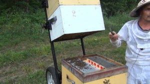 500+ Результат работы пчелоудалителей Иана Степплера и информация о следующих видео.