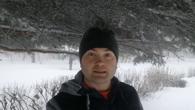 #анекдот Выпускной смотреть онлайн