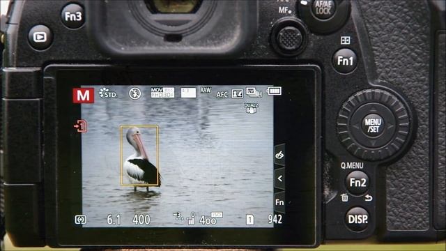 PANASONIC LUMIX G9: Comparing Human/Animal Detect Focus Modes in Firmware Update 2.4 смотреть онлайн