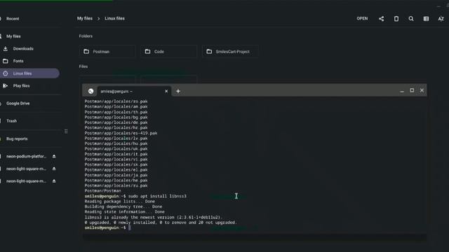 How to Install Postman Native Application on ChromeBook смотреть онлайн