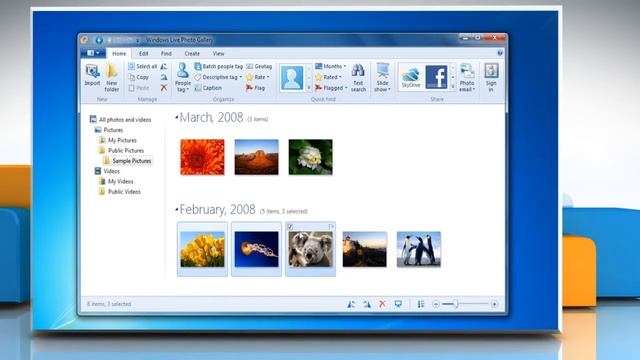 Windows® Live Photo Gallery: Share a photo as an Email attachment смотреть онлайн
