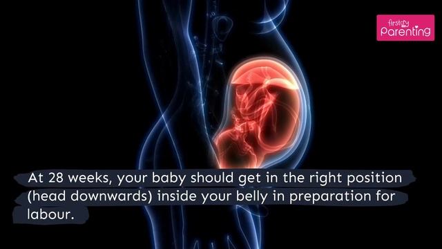 28 Weeks Pregnant: What To Expect смотреть онлайн