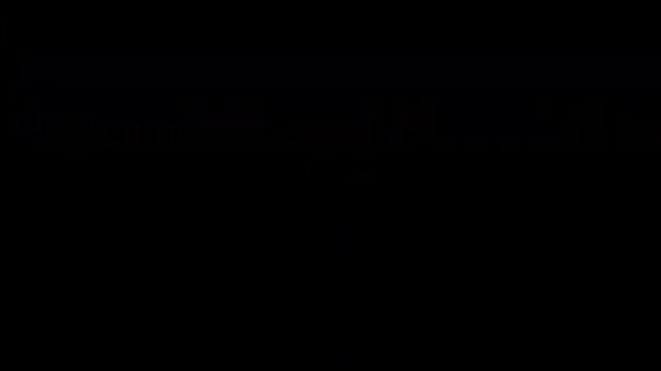 Dolphin MMJR2 Version 2.0 15998 | Android