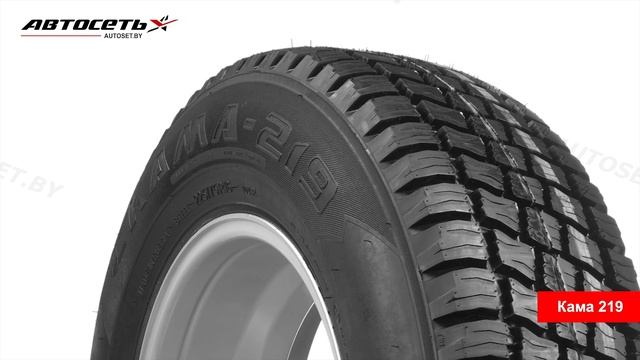 Обзор всесезонной шины Кама 219  Автосеть 
