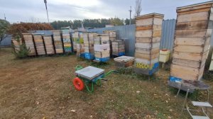 Организация пасечного хозяйства. Дёшево, надёжно, просто