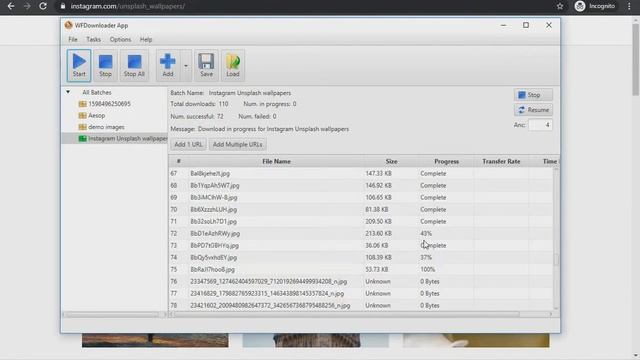 Download all Instagram images and videos using wfdownloader смотреть онлайн