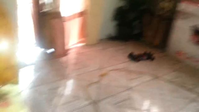 Driftstar/hsp flying fish/redcat lightning cs смотреть онлайн