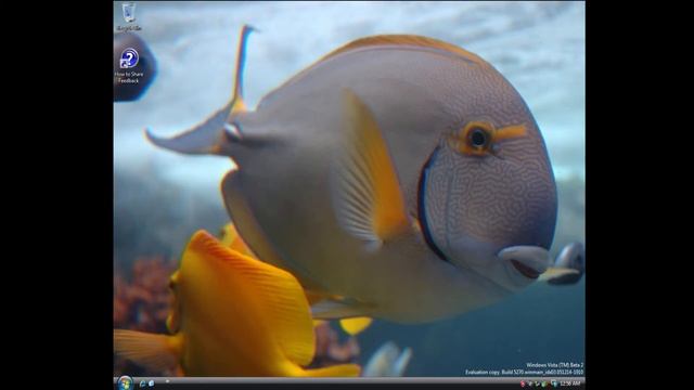 Windows Vista 'Longhorn' Beta 2 Build 5270 And RC 5456