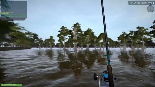 Ultimate Fishing Simulator | Official Release Date 30/08/18 смотреть онлайн