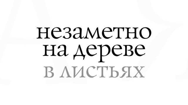 Студенческое портфолио смотреть онлайн
