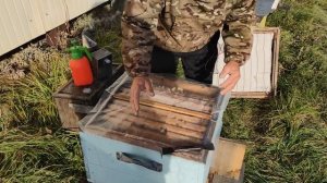 500+ Ноябрь. Про проблемные семьи + подготовка к эксперименту.