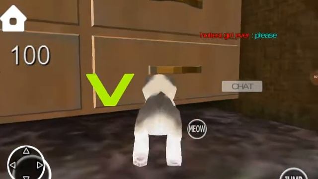 Kitten Cat Simulator - Multiplayer gameplay Android IOS смотреть онлайн