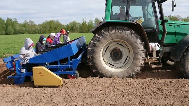DokaGene Высадка миниклубней картофеля. смотреть онлайн
