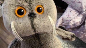 любимая игрушка для басика