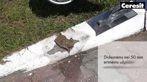 Betoninio krašto remontas Ceresit CX5