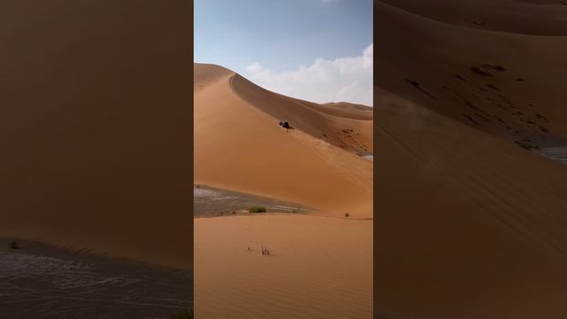 Desert Drive смотреть онлайн